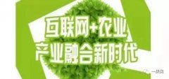 农业创业致富的10个成长标的目的做好了你就赔了